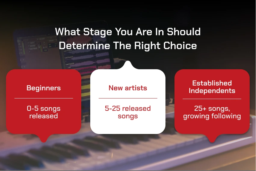 What Stage You Are In Should Determine The Right Choice